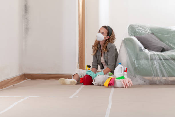 Reliable Basement Mold Remediation contractor in Somerdale, NJ by WQB Mold Removal